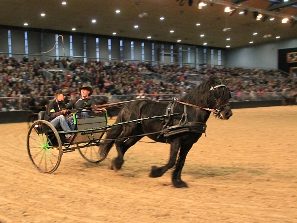 Pferd_Jagd   085.jpg